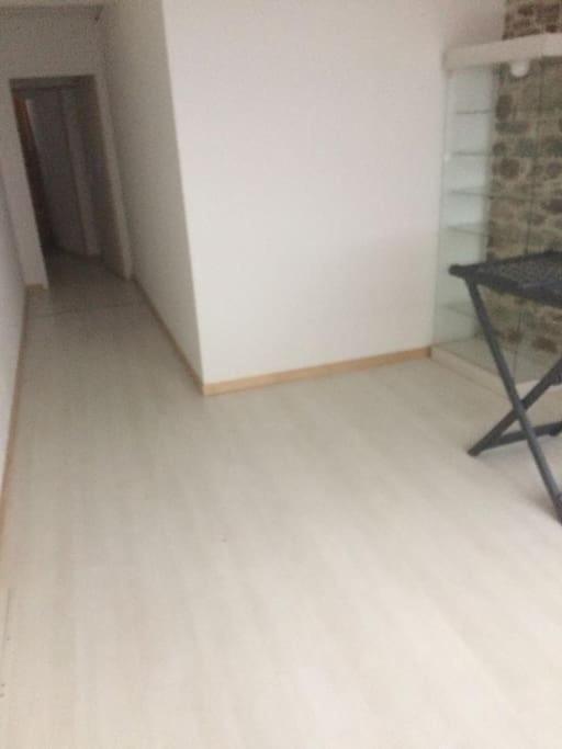 Grand Appartement